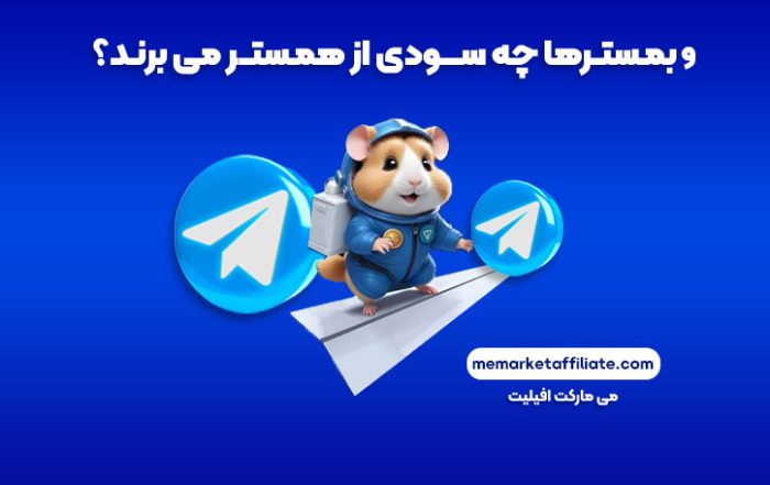 بازی همستر چیست ؟