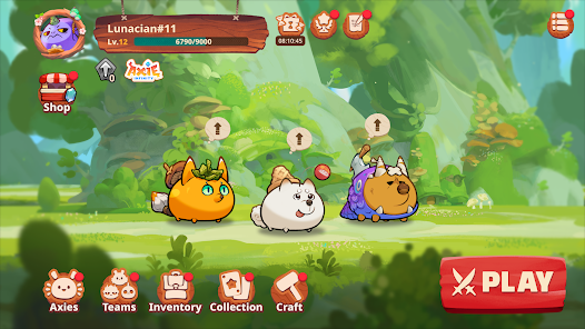 Axie Infinity