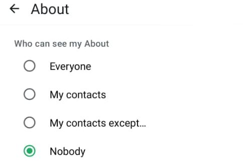 hide whatsapp number 4 e1767102620613