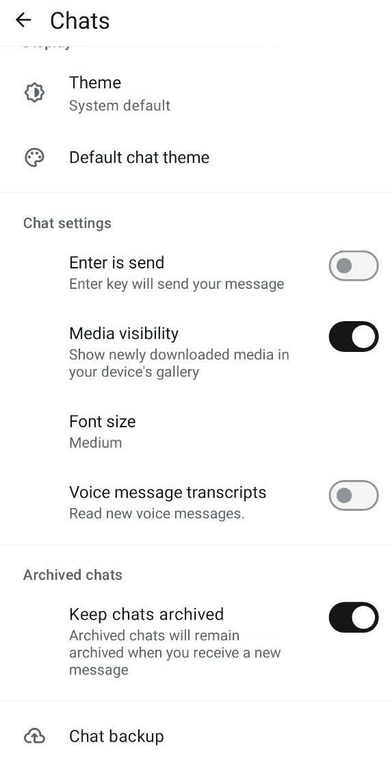 photo24212958677 e1771226623329