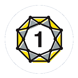 9 yektanet